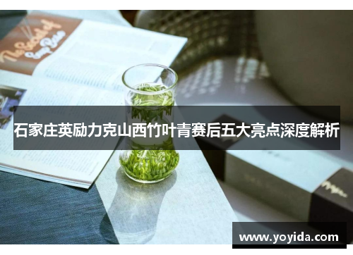 石家庄英励力克山西竹叶青赛后五大亮点深度解析